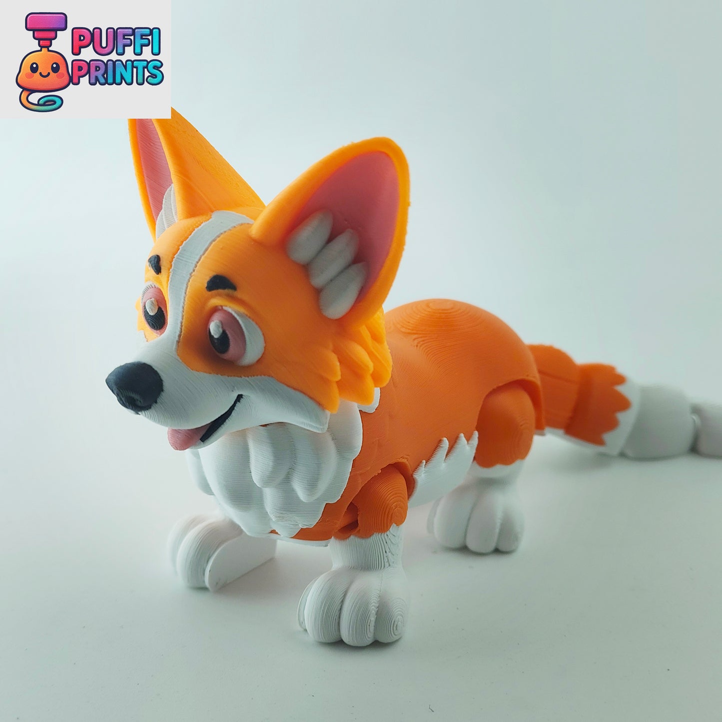 Flexi Corgi – Short Legs, Big Ears & Tons of Personality!