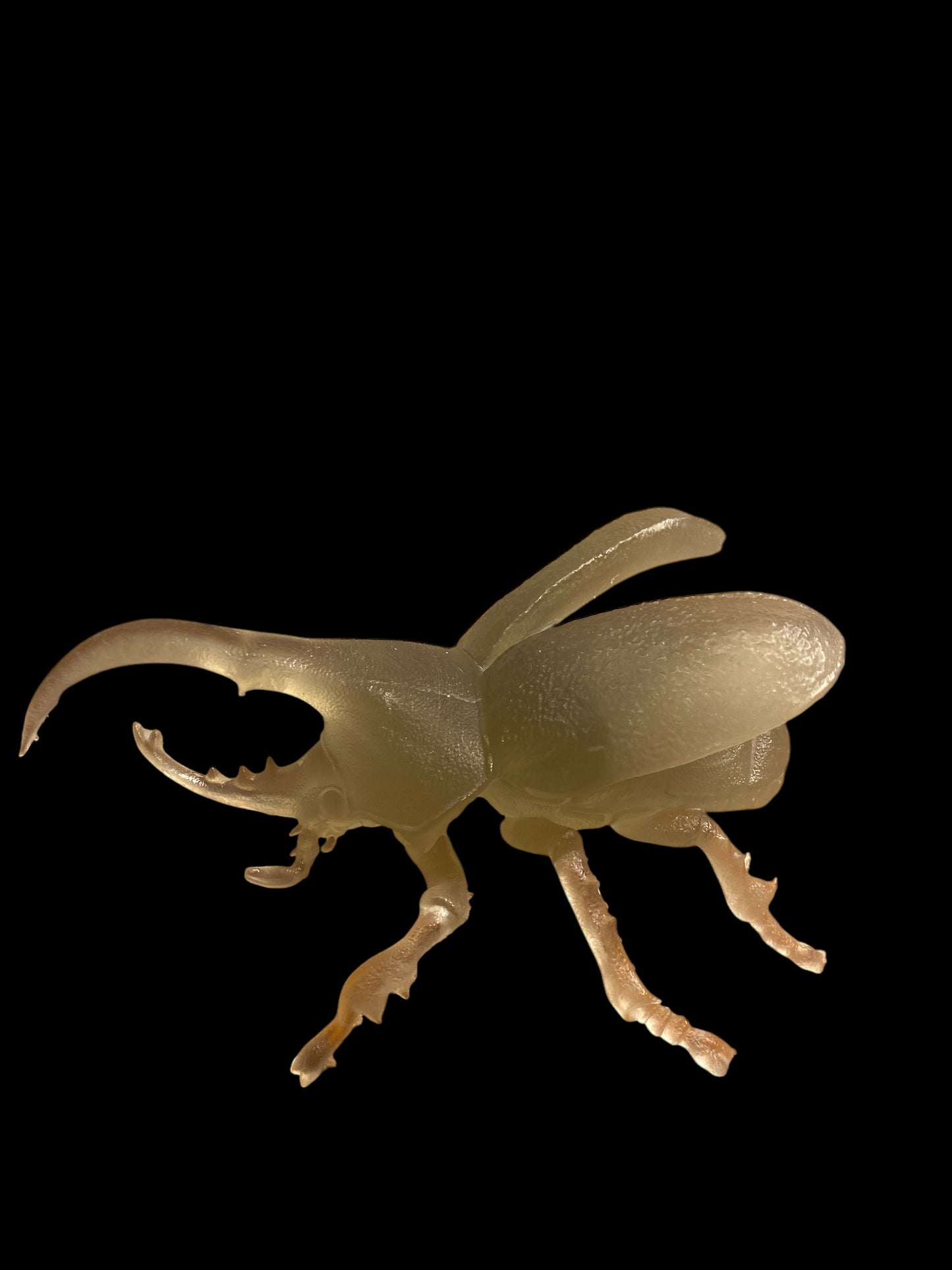 Hercules Beetle Statue