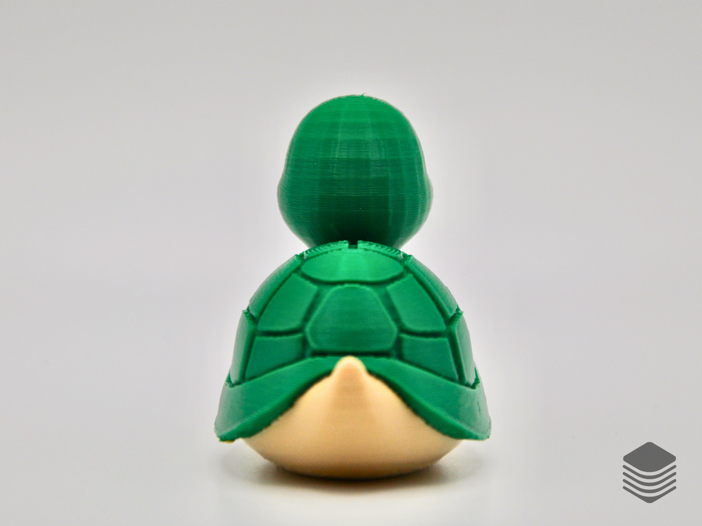 Turtle Duck
