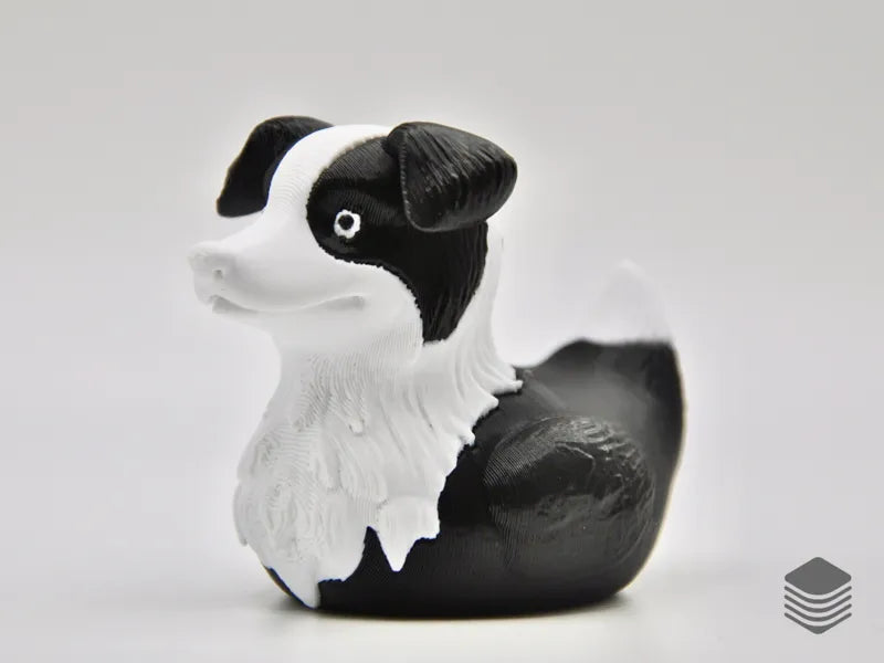 Meet the Border Collie Duck – Smart, Loyal, and Adorably Quirky!