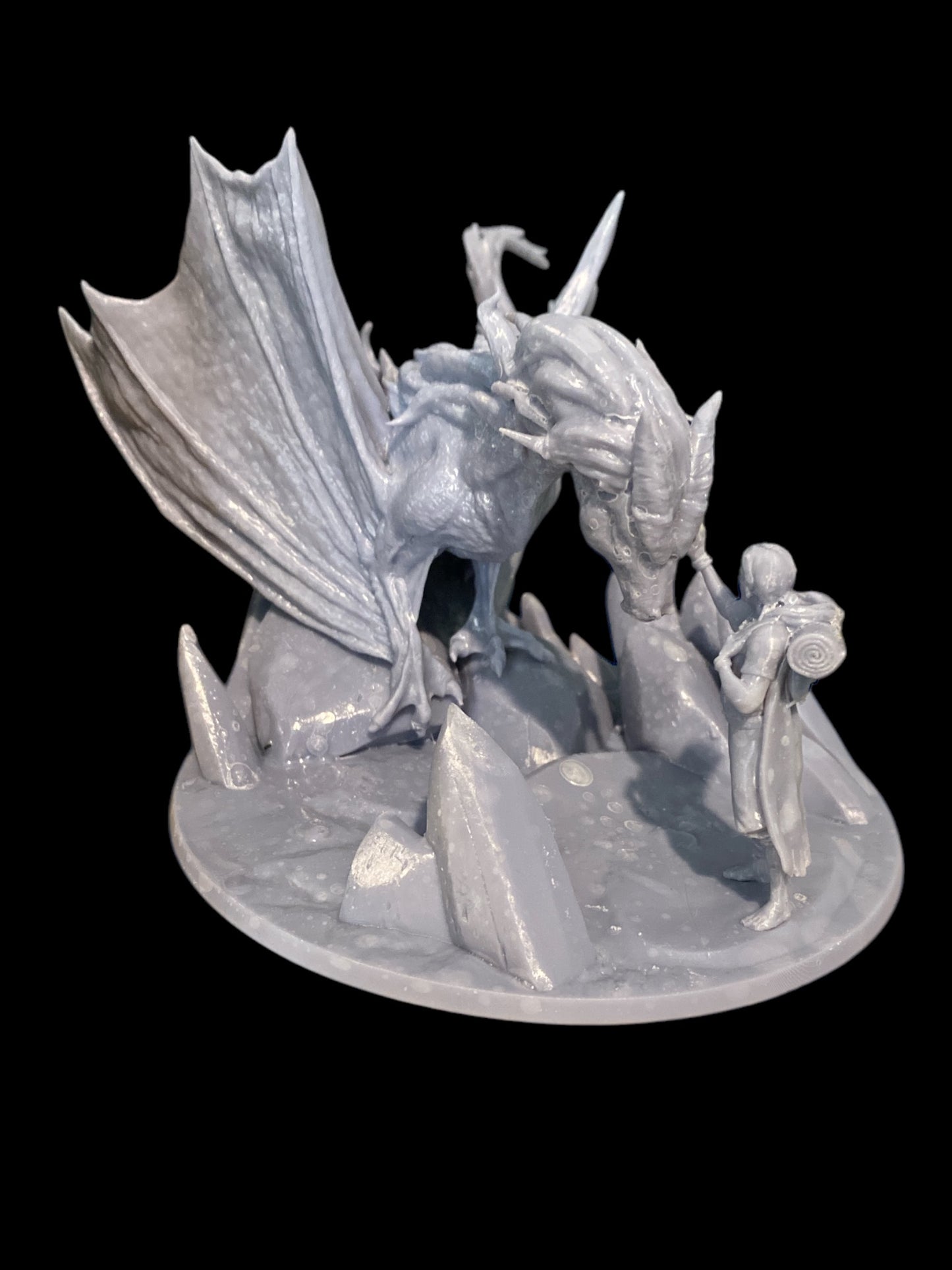 Air Dragon and Rider