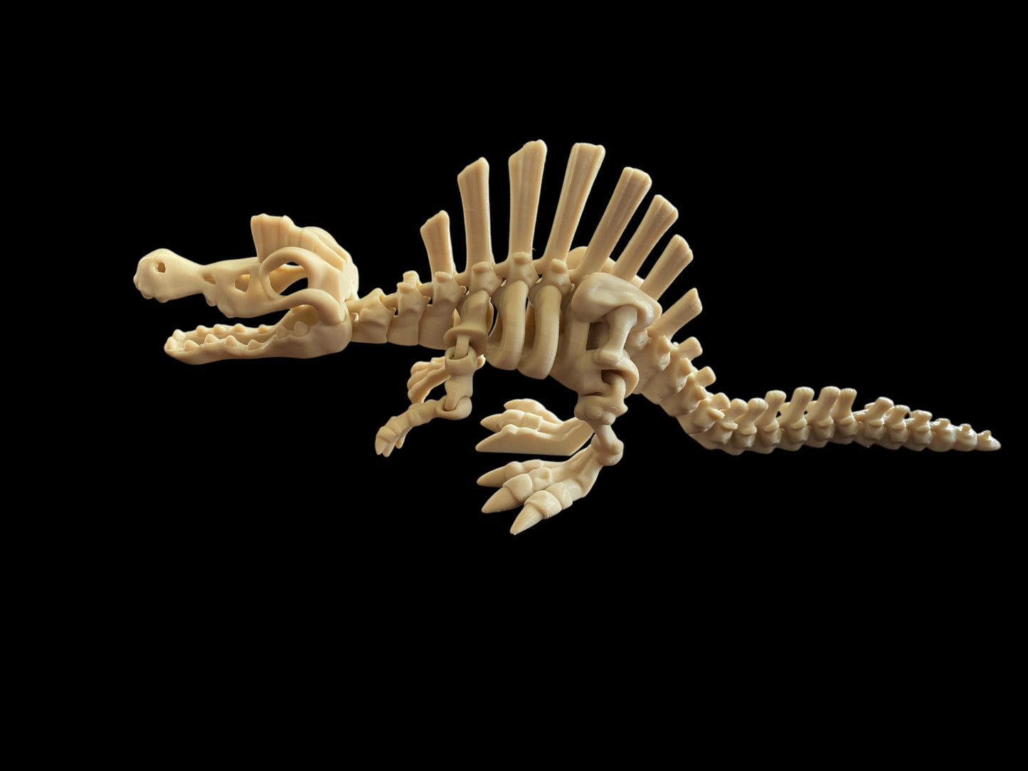 Skeleton Spinosaurus