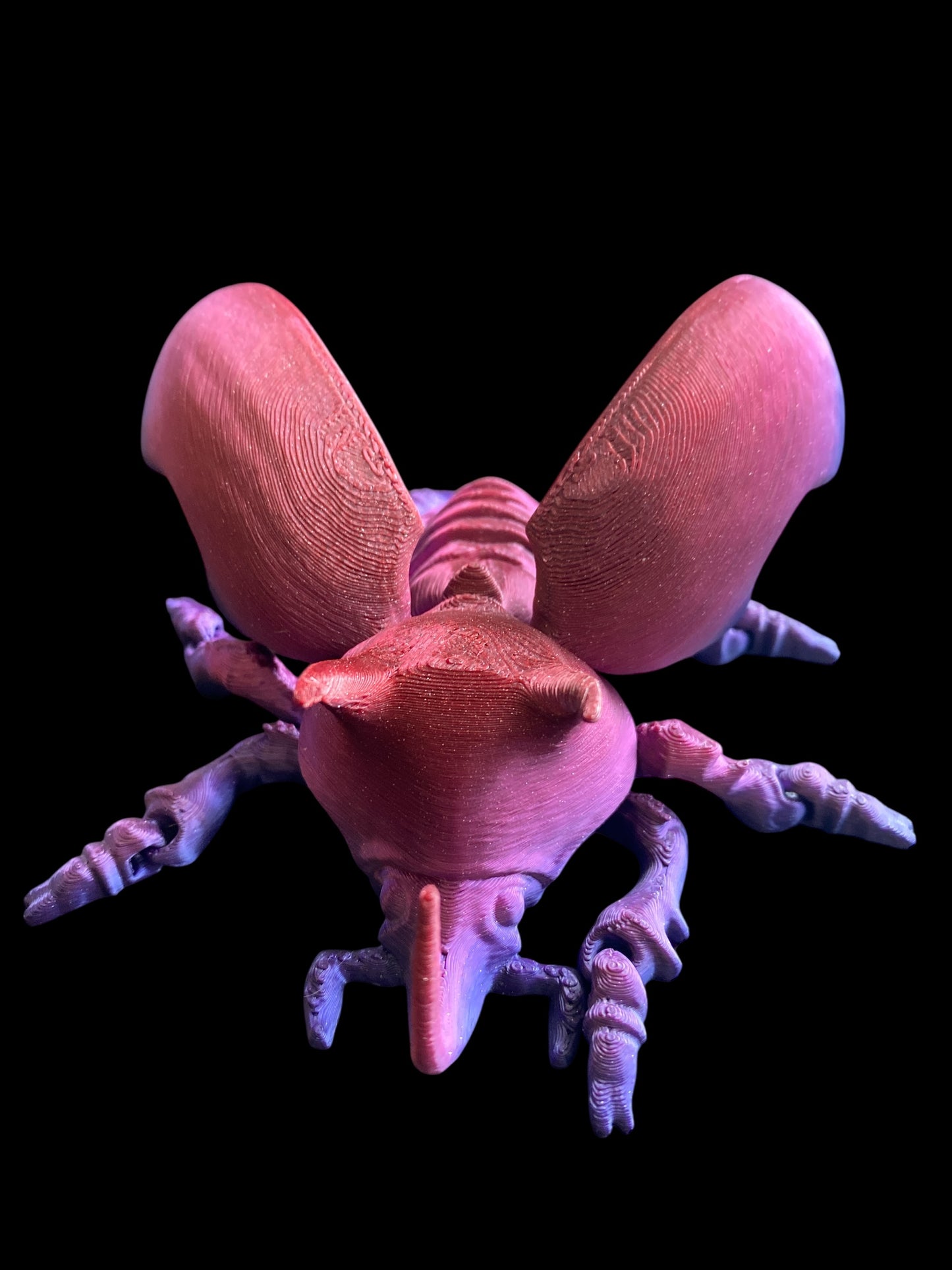 Unicorn Beetle — Where Magic Meets Movement