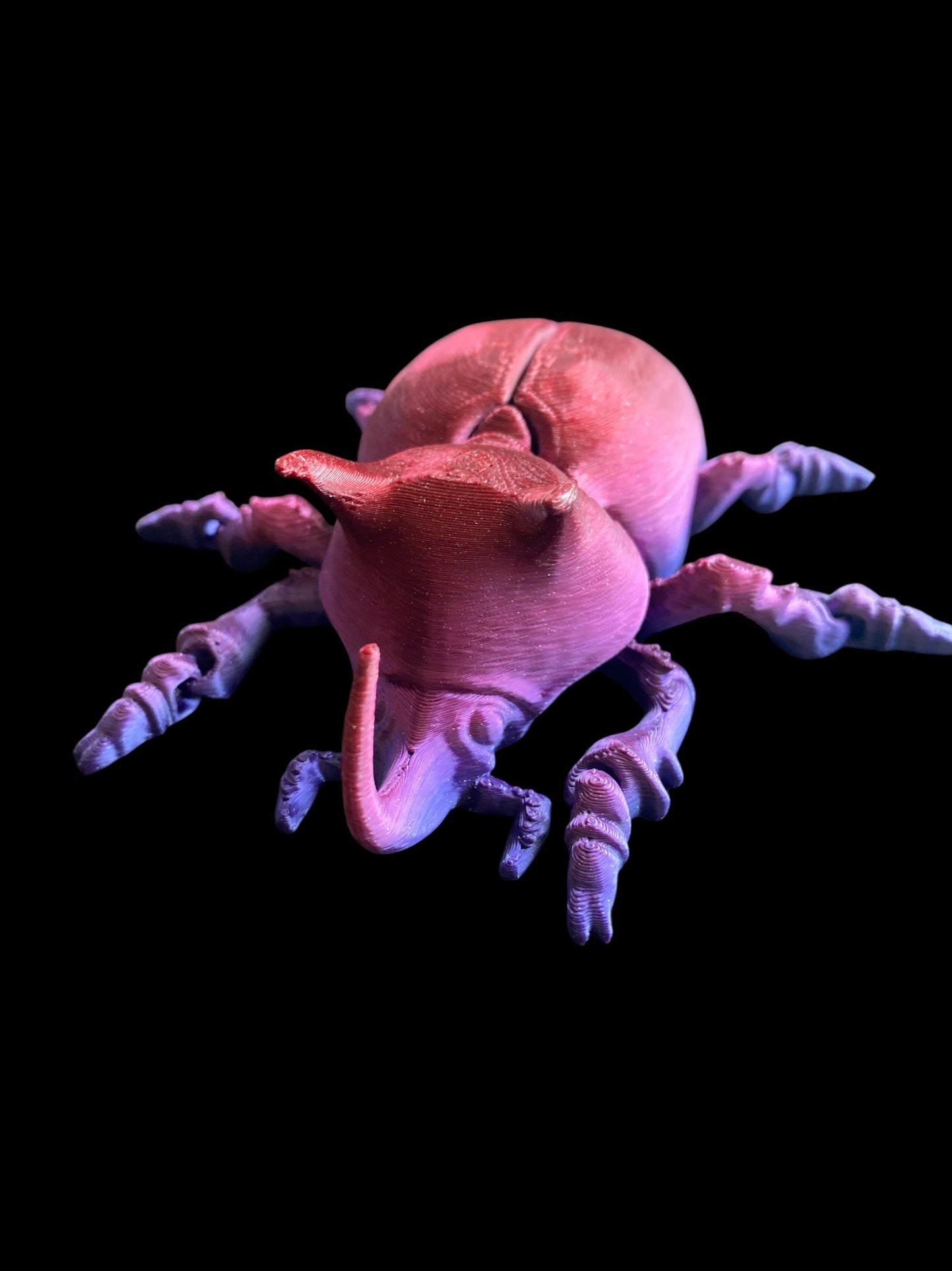 Unicorn Beetle — Where Magic Meets Movement