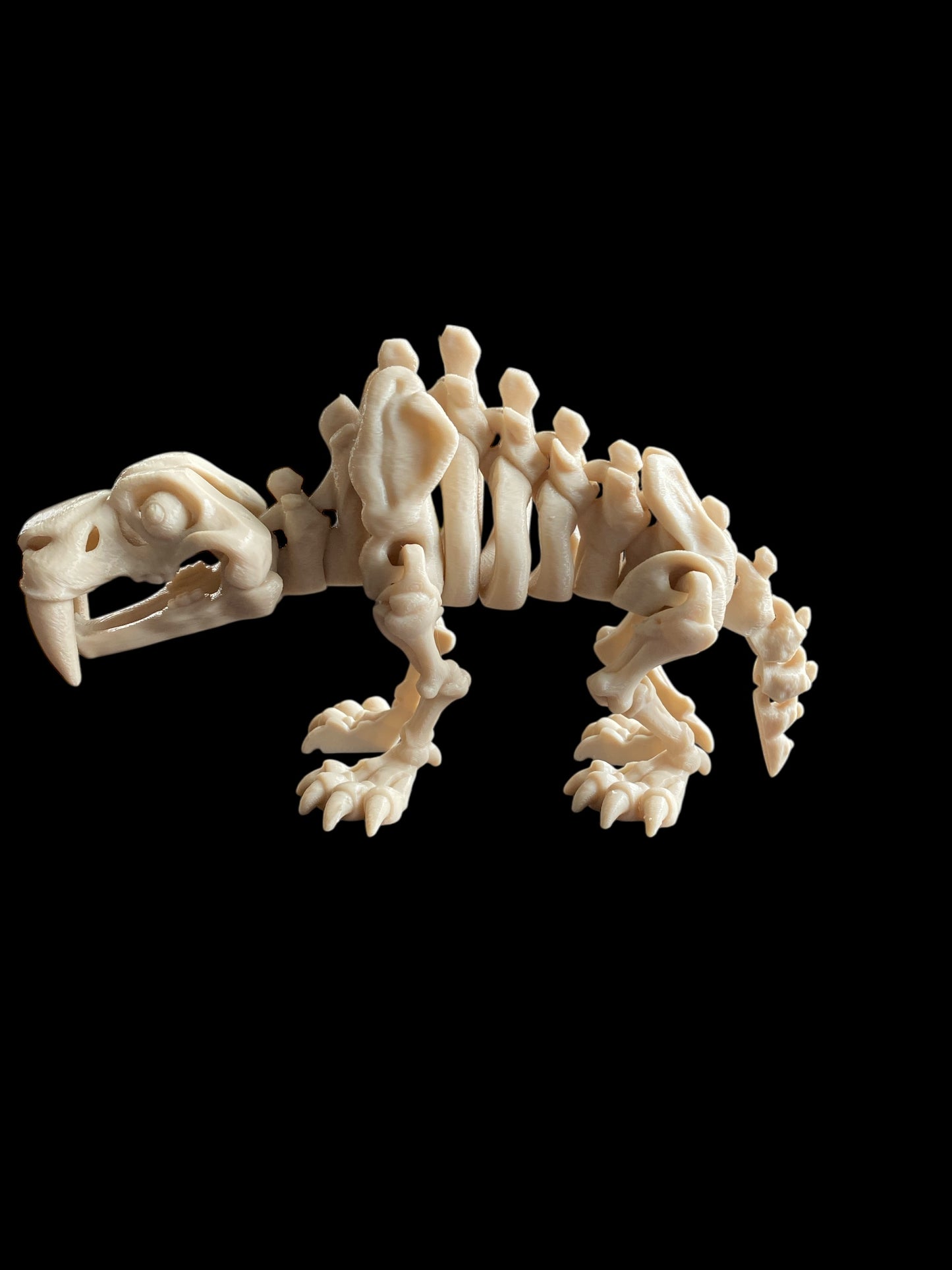 π¦ 3D Printed Flexi Saber Tooth Dinosaur β Designed by FlexiFactory π¦
