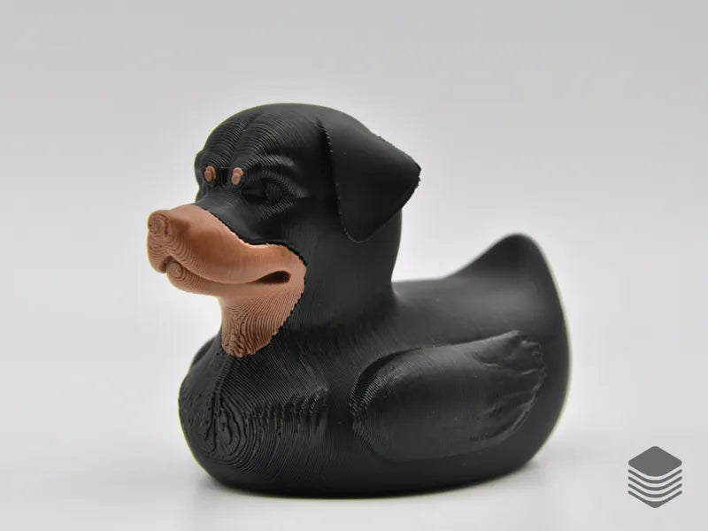 Rottweiler Duck