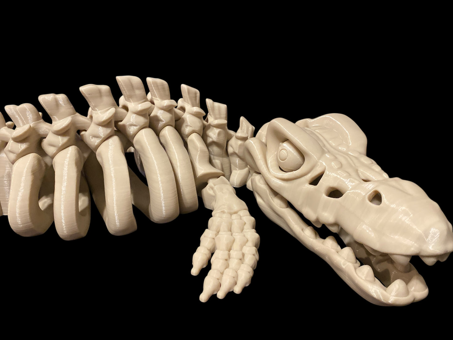 XXL Mosasaurus – The Apex Predator of the Seas