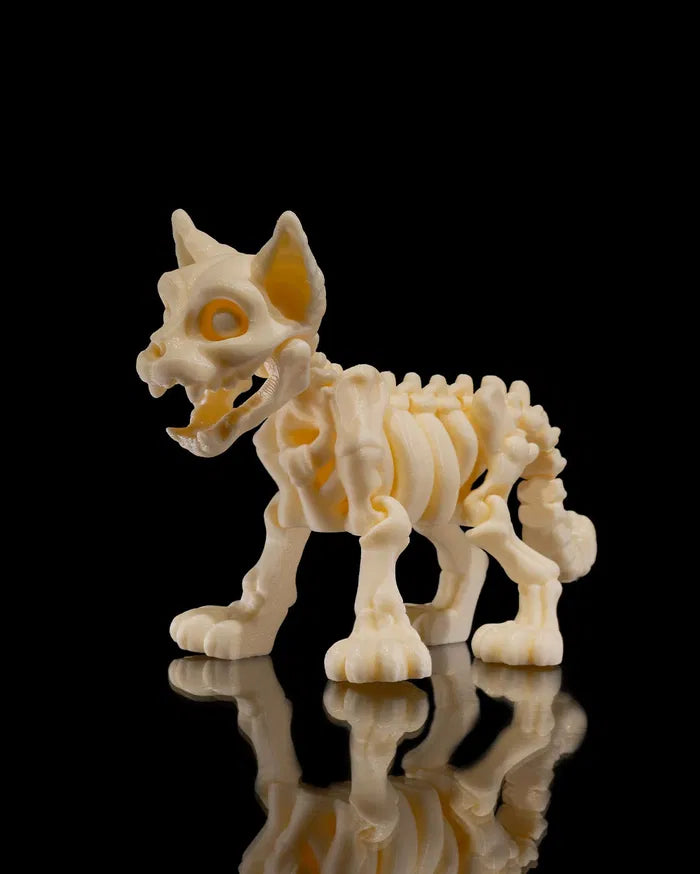 Skelly Cat