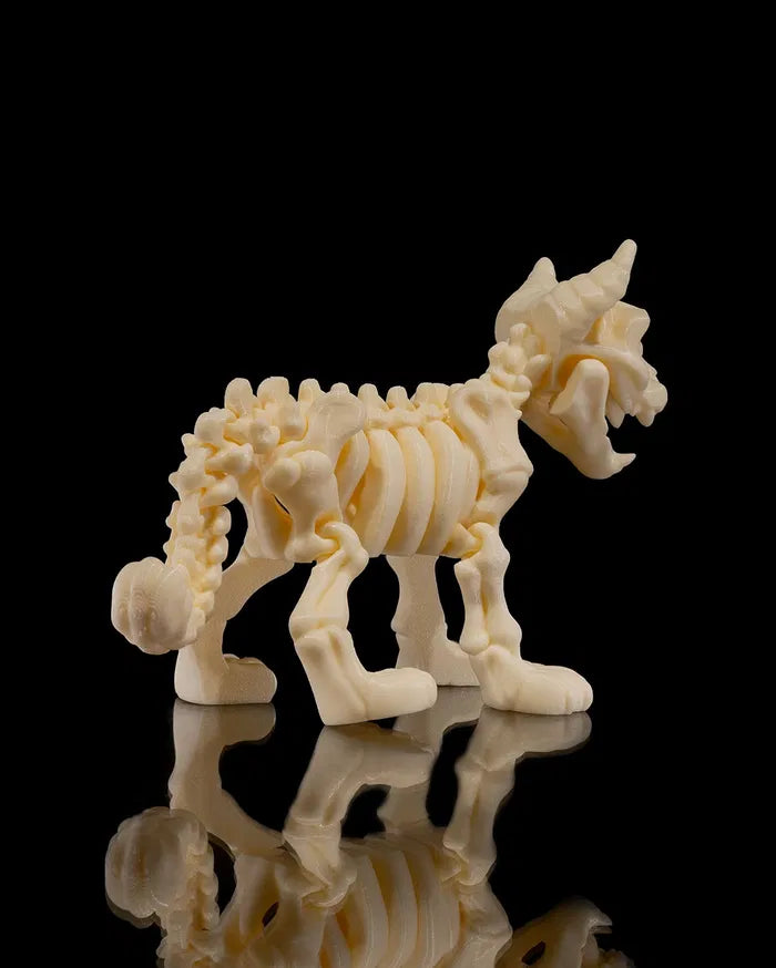 Skelly Cat
