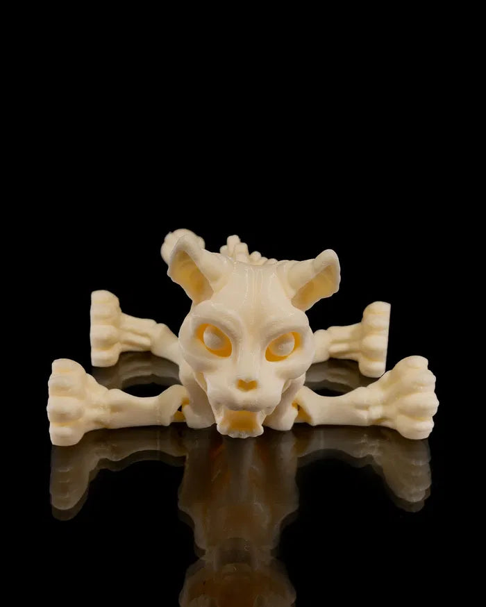 Skelly Cat