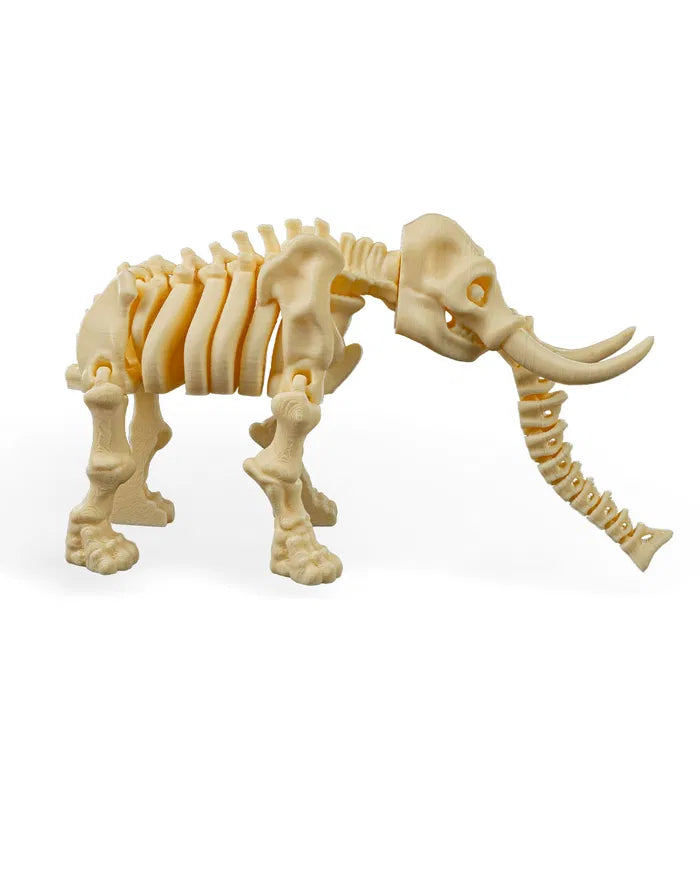 Safari Skelly Elephant