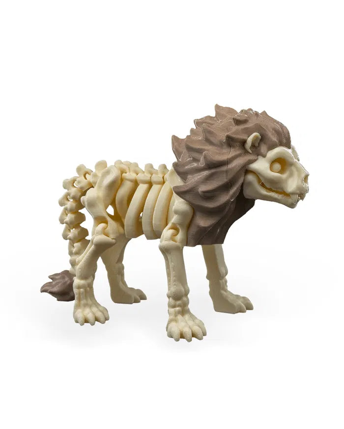 Safari Skelly Lion