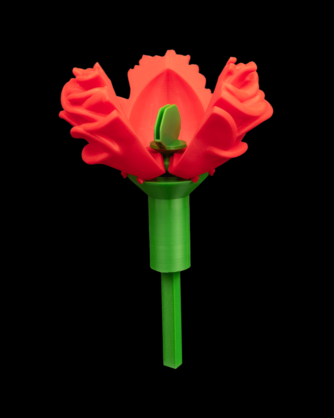 Sweet Rose – Container & Ring BoxSweet Rose – Container & Ring Box