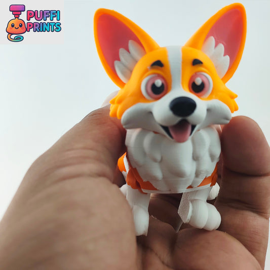 Flexi Corgi – Short Legs, Big Ears & Tons of Personality!
