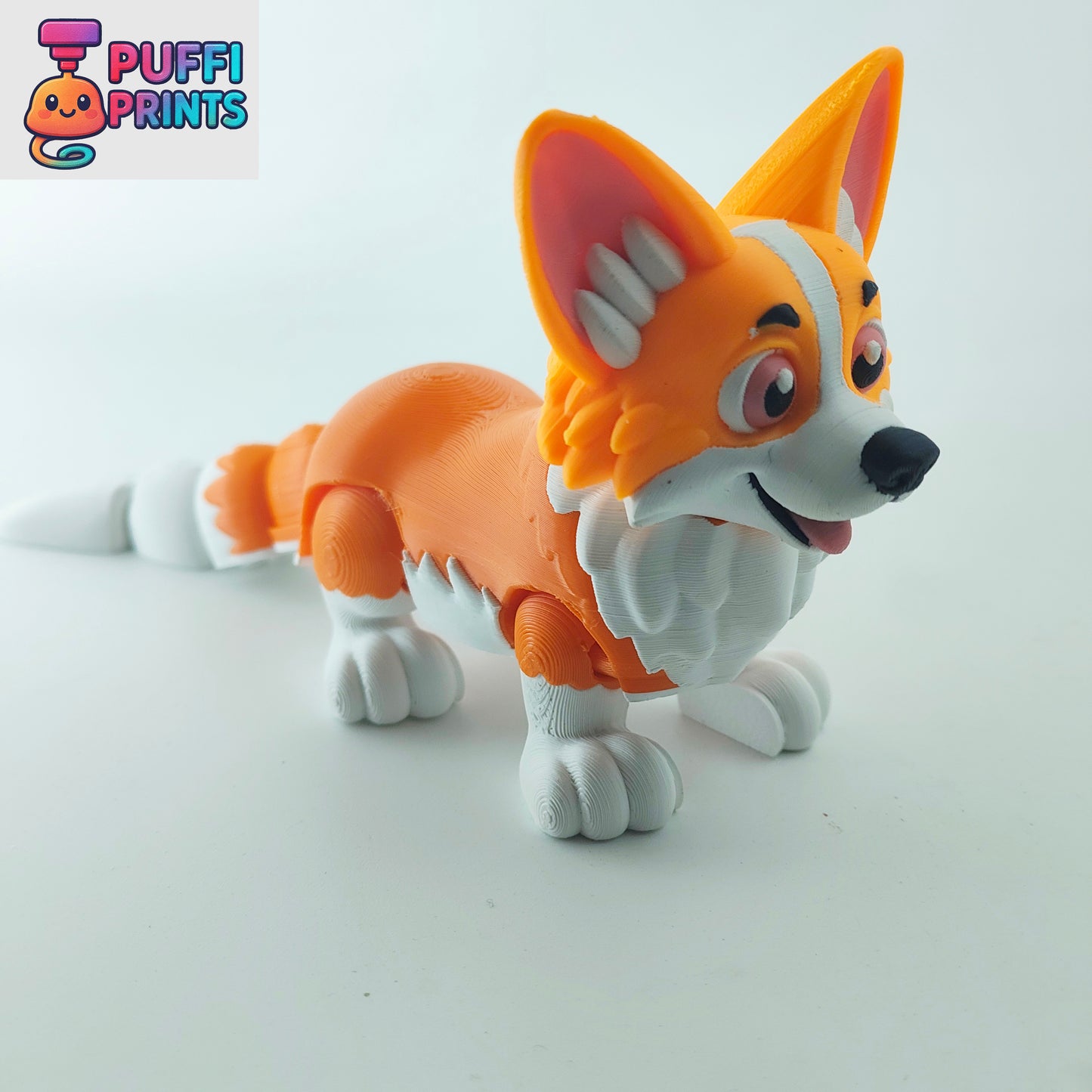 Flexi Corgi – Short Legs, Big Ears & Tons of Personality!