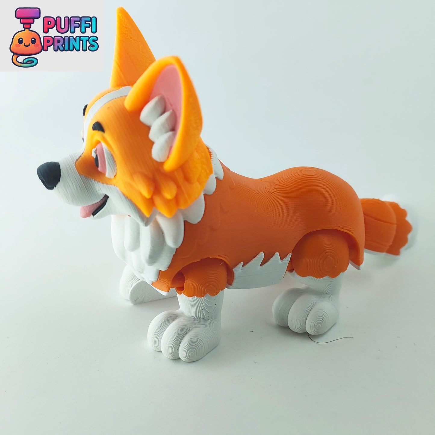 Flexi Corgi – Short Legs, Big Ears & Tons of Personality!