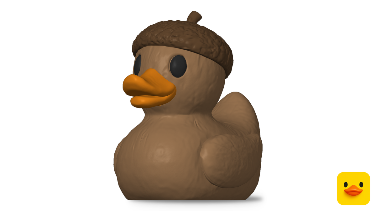 Acorn Duck