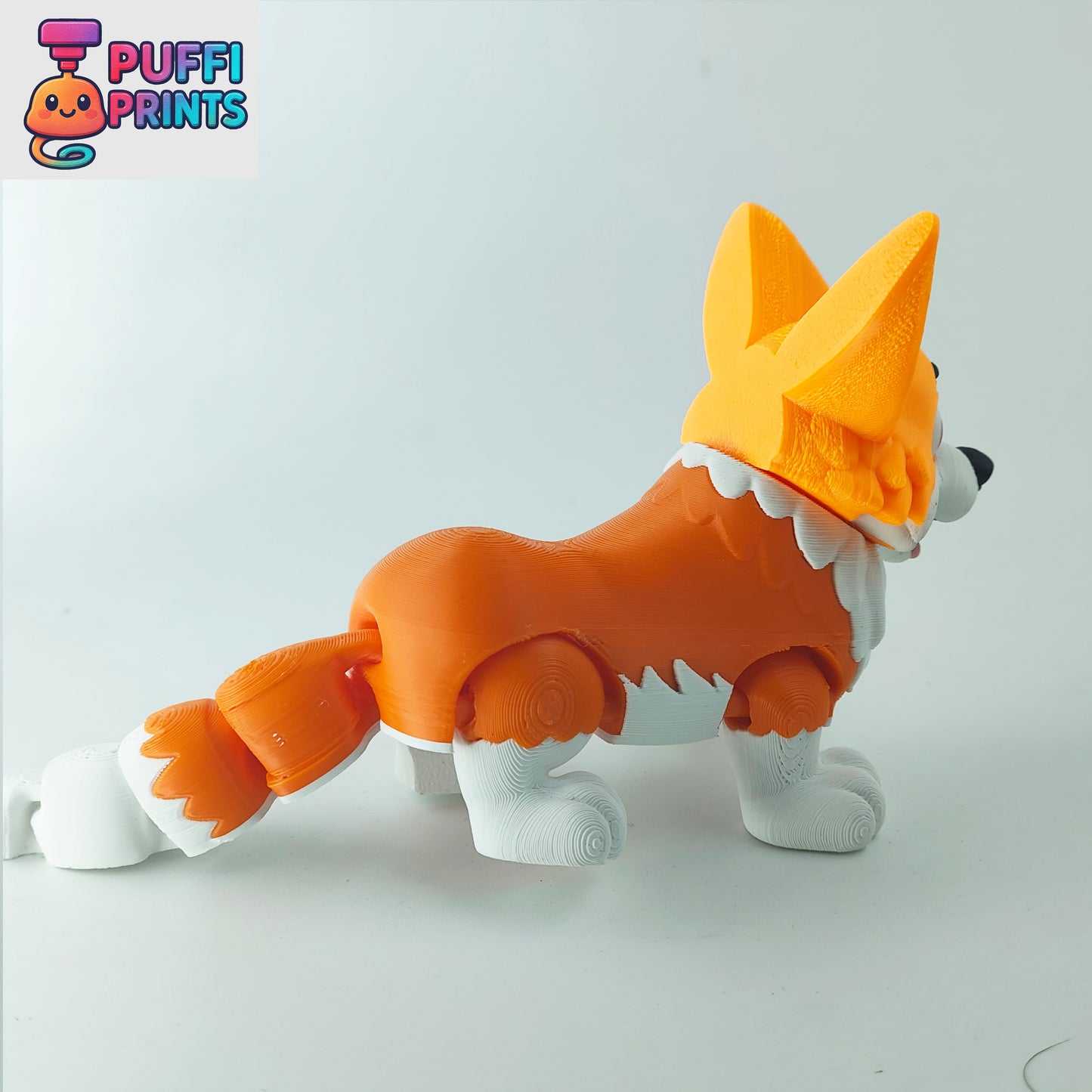 Flexi Corgi – Short Legs, Big Ears & Tons of Personality!