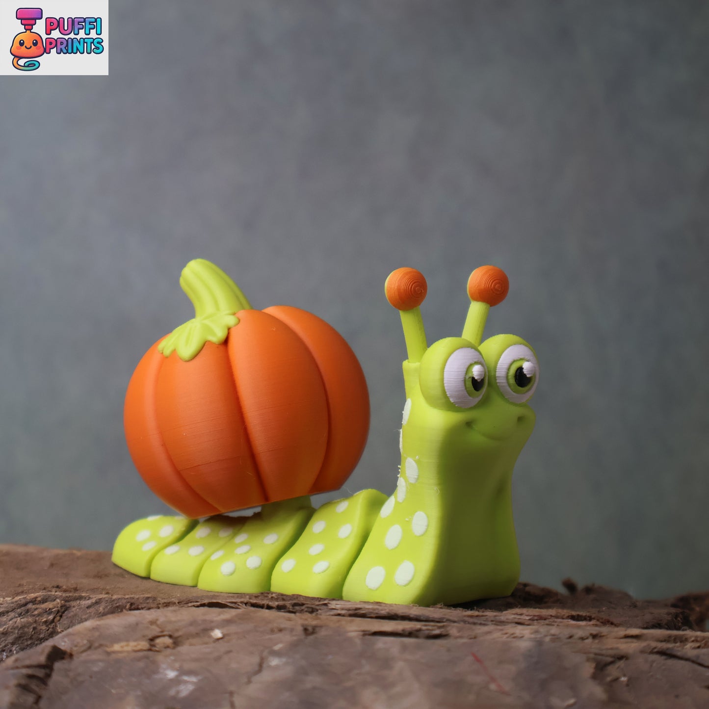 Flexi Pumpkin Snail Set – Double the Fall Fun!