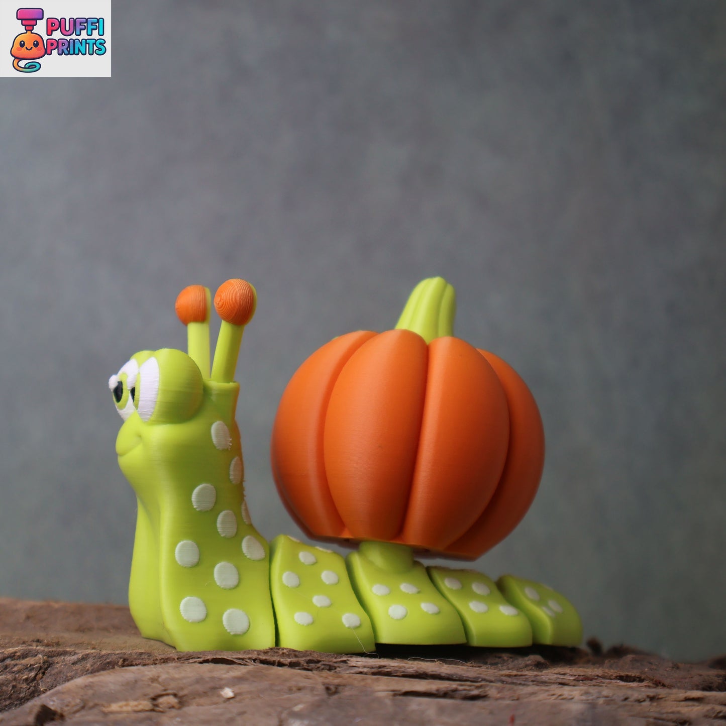 Flexi Pumpkin Snail Set – Double the Fall Fun!