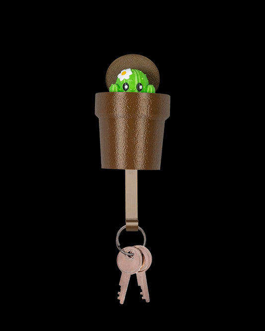 Surprise Key Hangers
