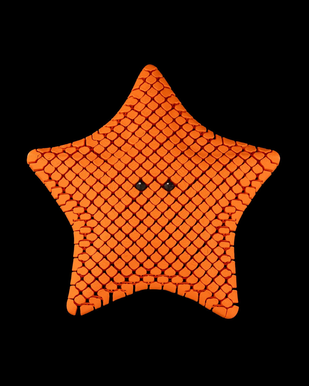 Bessie the Bat Sea Star