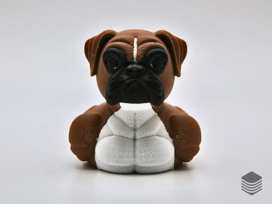 Quirky, Loyal, and Full of Personality — Meet the Boxer Dog Duck!