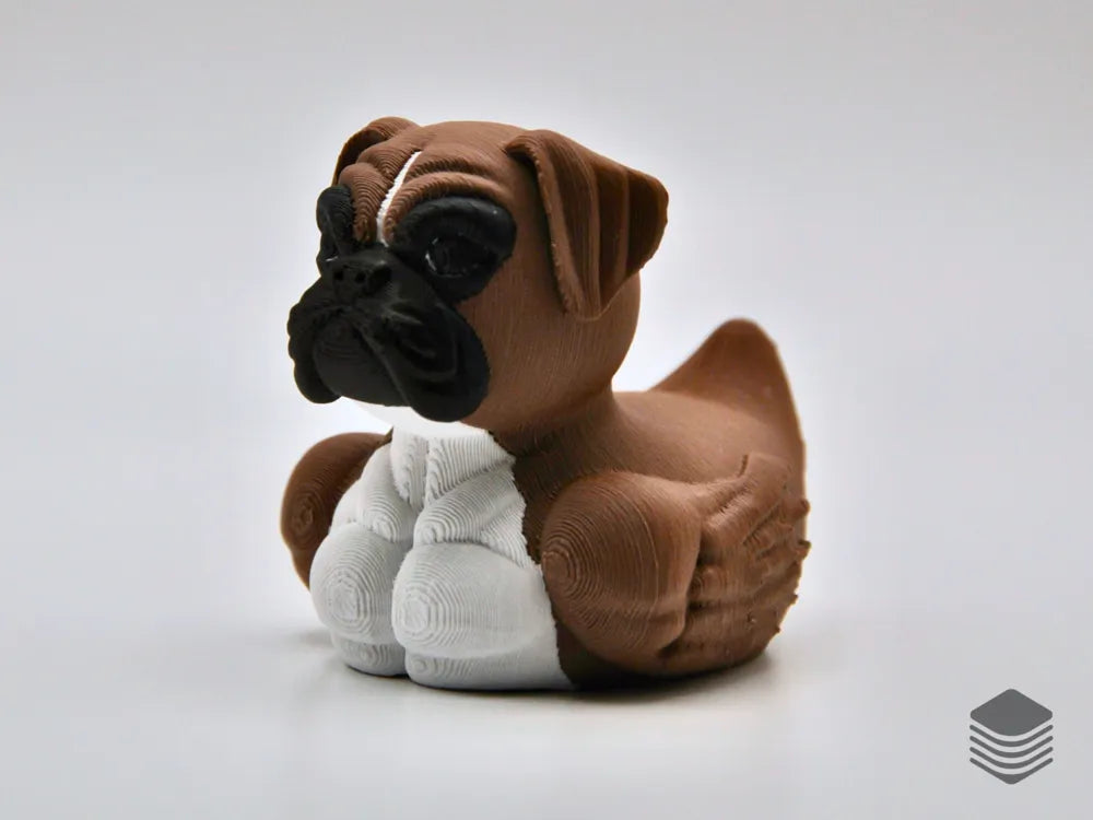 Quirky, Loyal, and Full of Personality — Meet the Boxer Dog Duck!