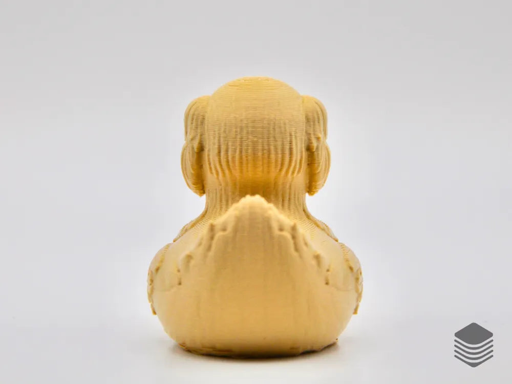 Sweet, Friendly, and Ready to Quack — Meet the Golden Retriever Duck!