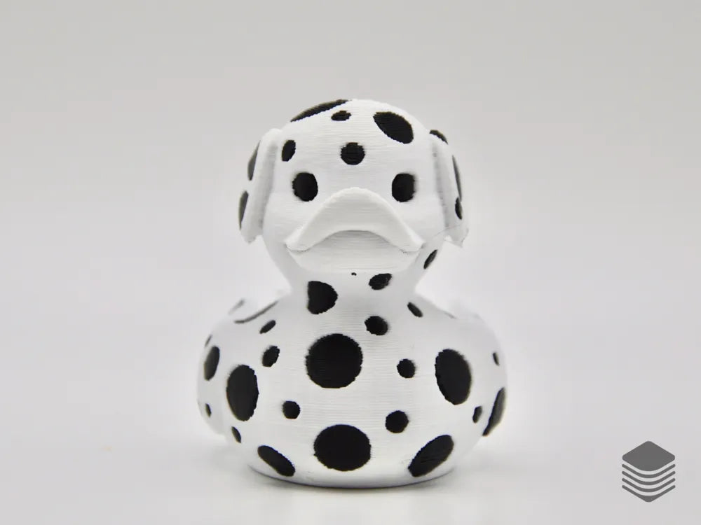 Spot-On Adorable — Meet the Dalmatian Duck!