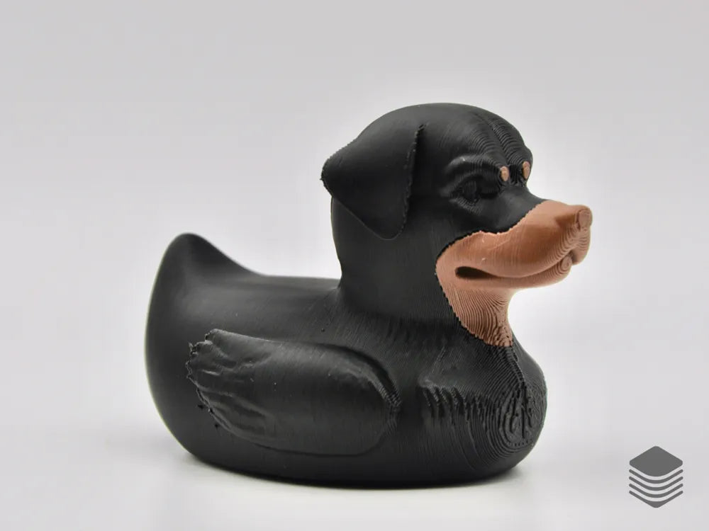 Rottweiler Duck