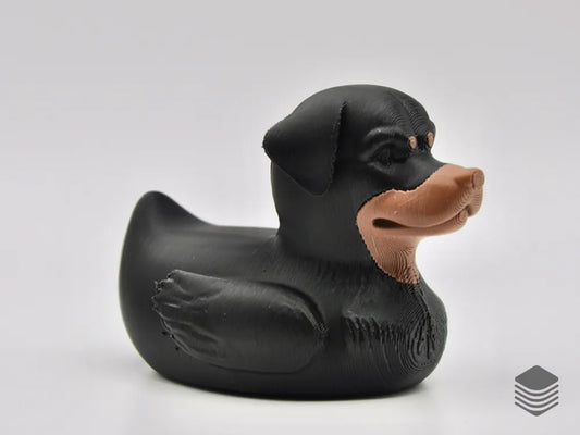 Rottweiler Duck