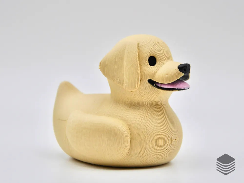 Labrador Retriever Duck