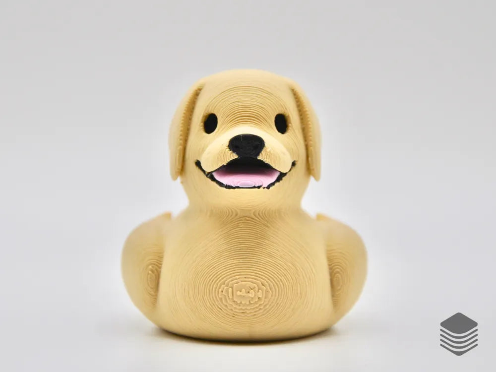 Labrador Retriever Duck