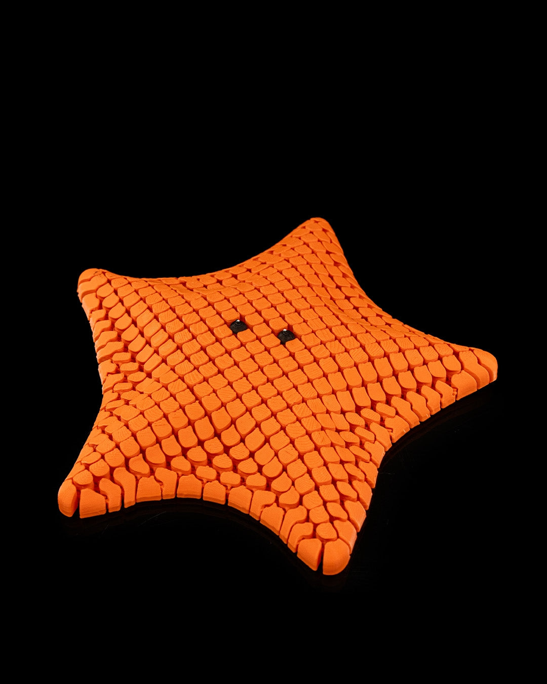 Bessie the Bat Sea Star