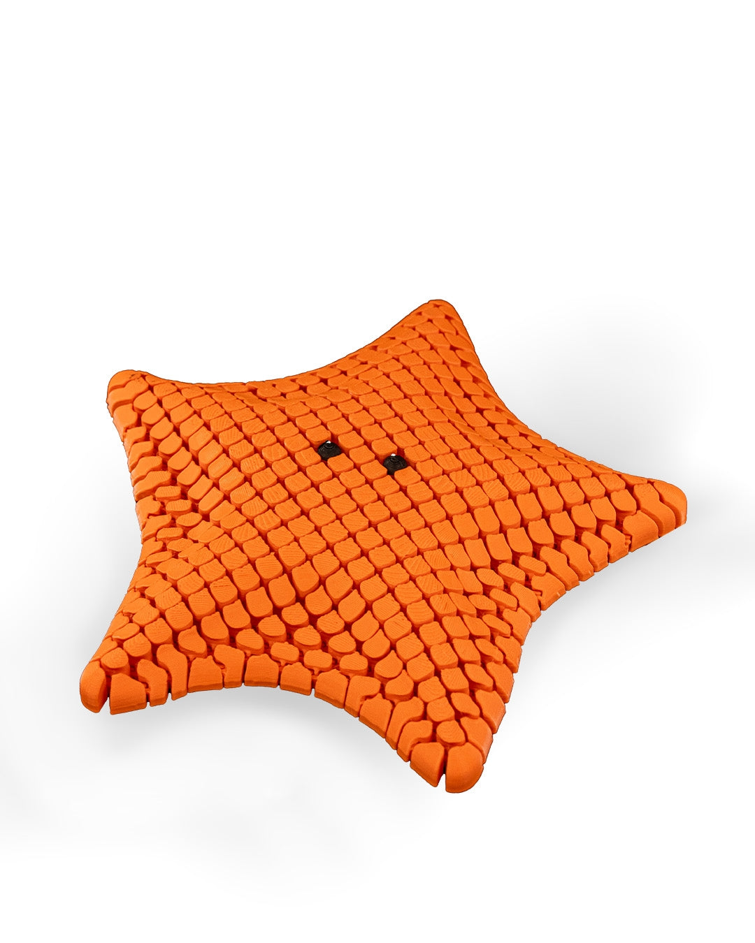 Bessie the Bat Sea Star