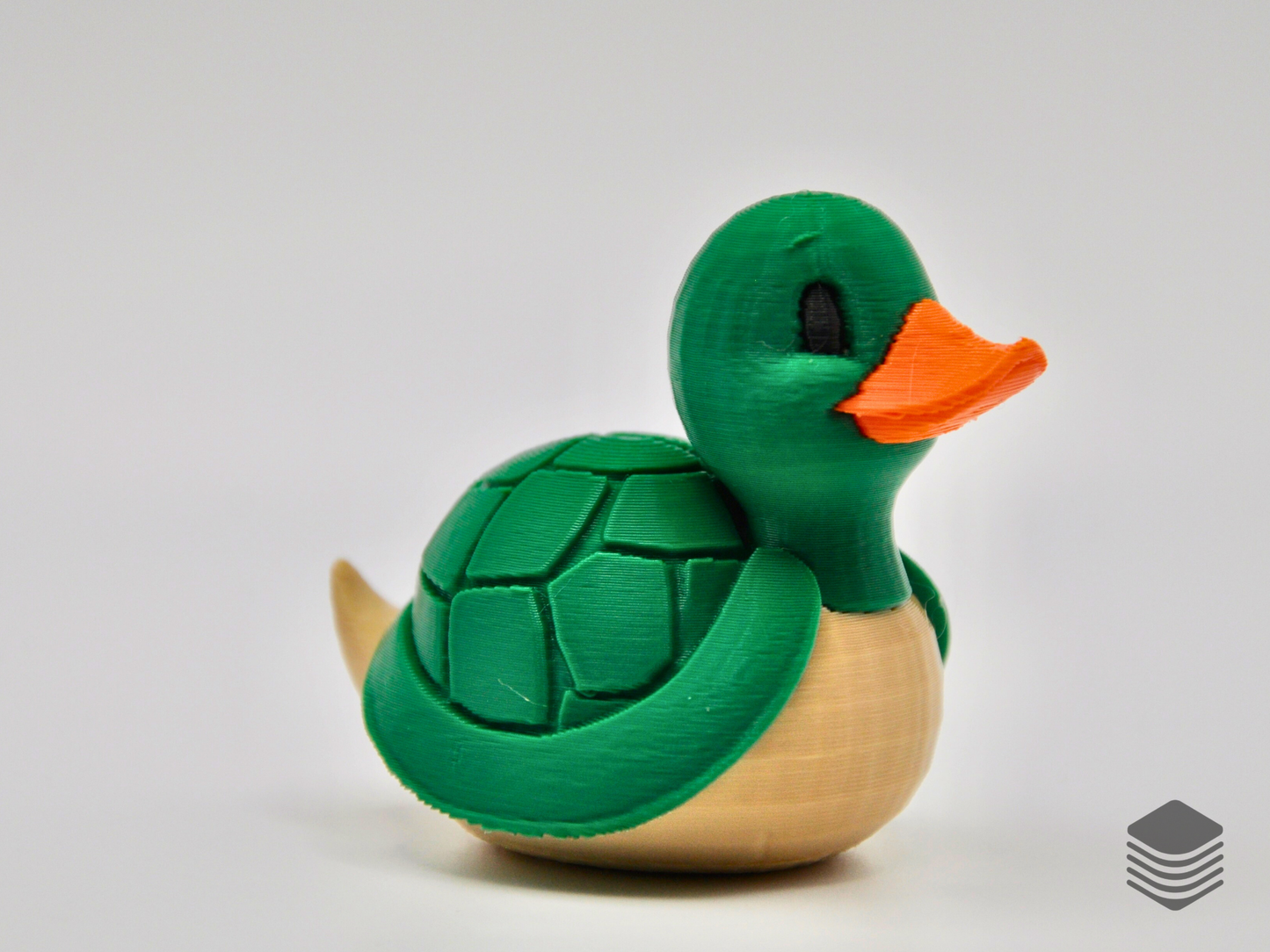 Turtle Duck