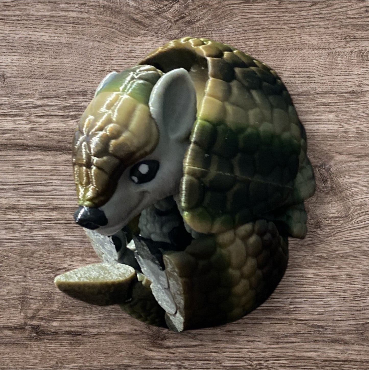 Armadillo