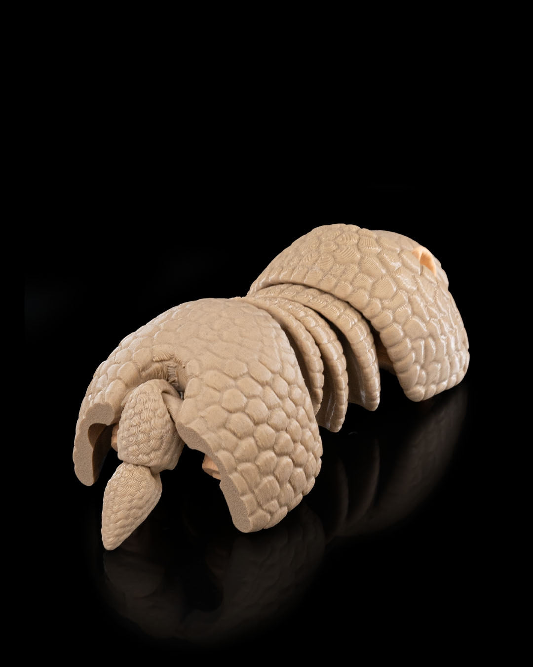 Armadillo