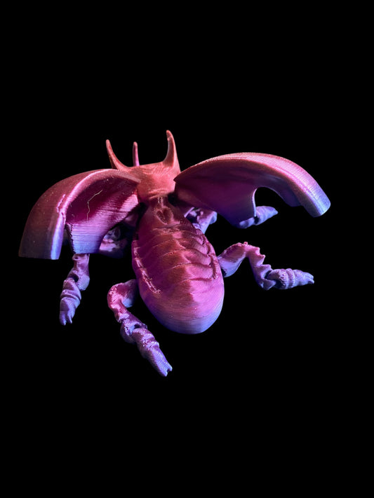 Unicorn Beetle — Where Magic Meets Movement