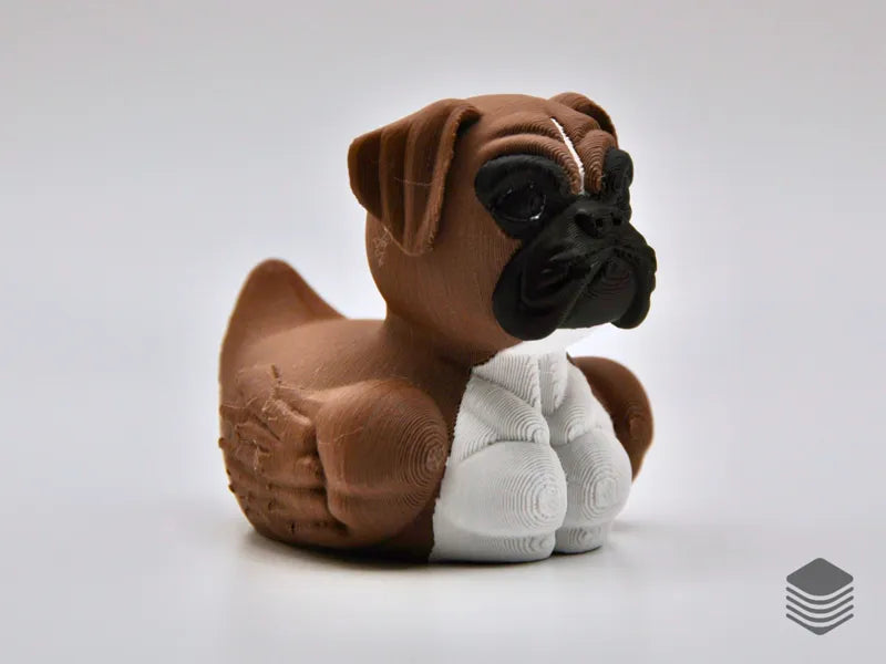 Quirky, Loyal, and Full of Personality — Meet the Boxer Dog Duck!