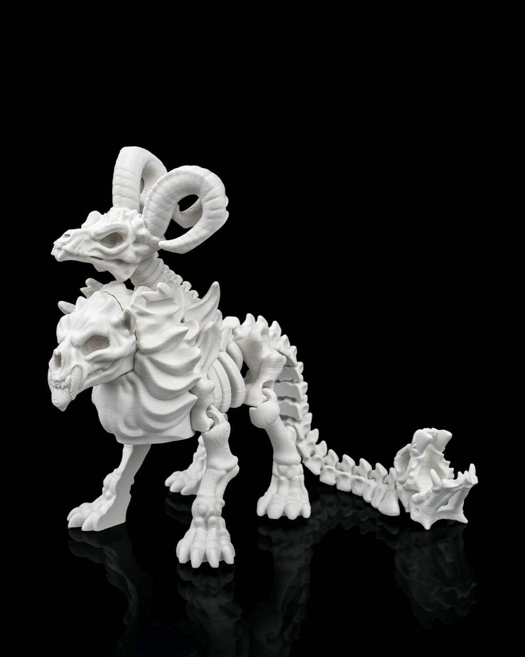Chimera Skeleton