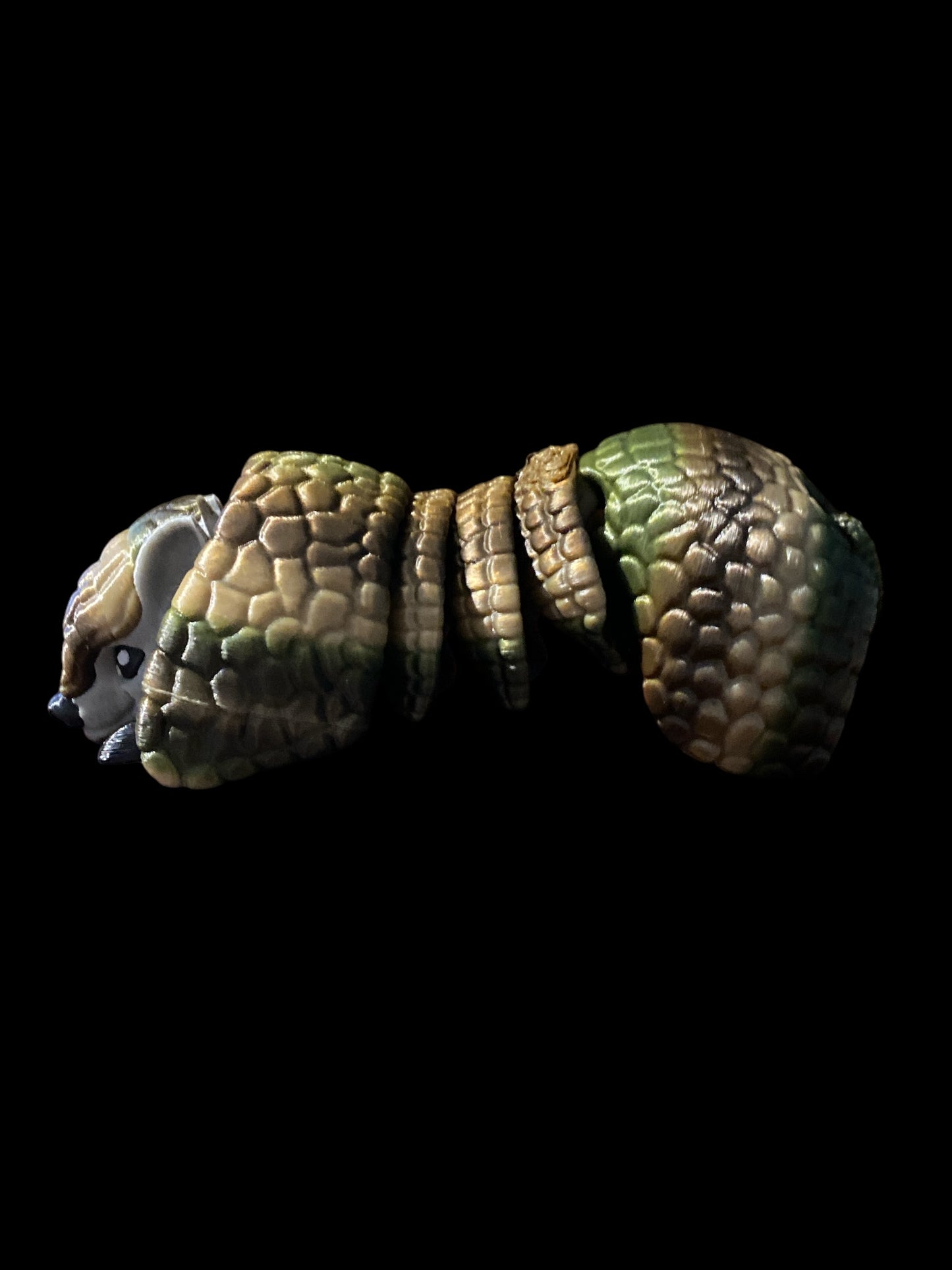 Armadillo