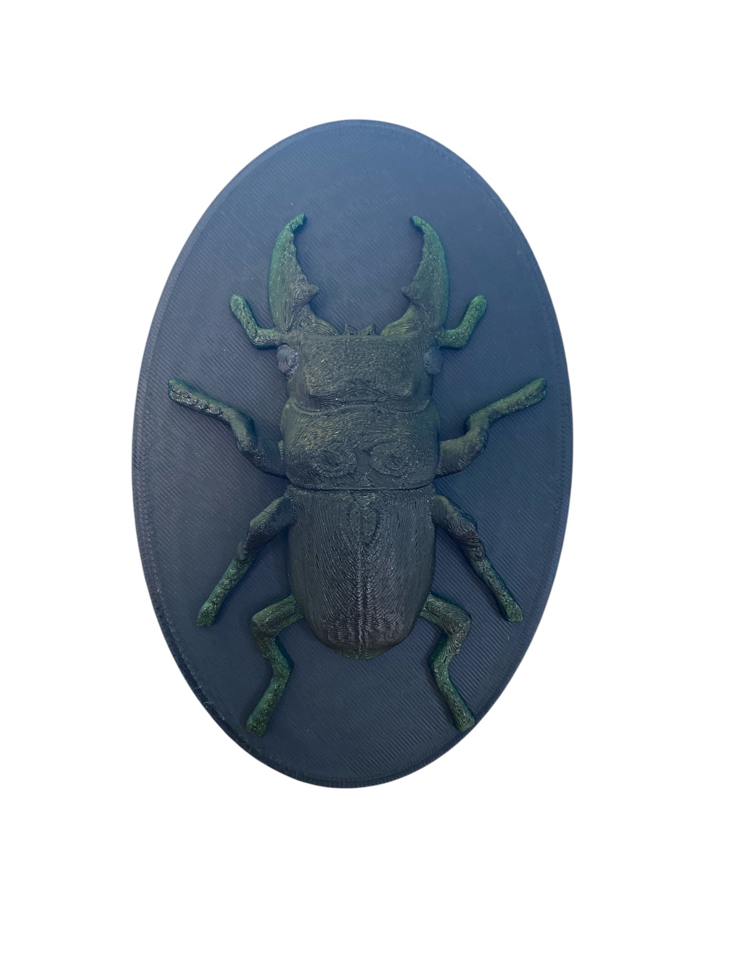Stag Beetle – Fierce by Nature, Chill by Design