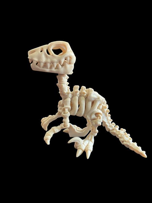 Skeleton T-Rex
