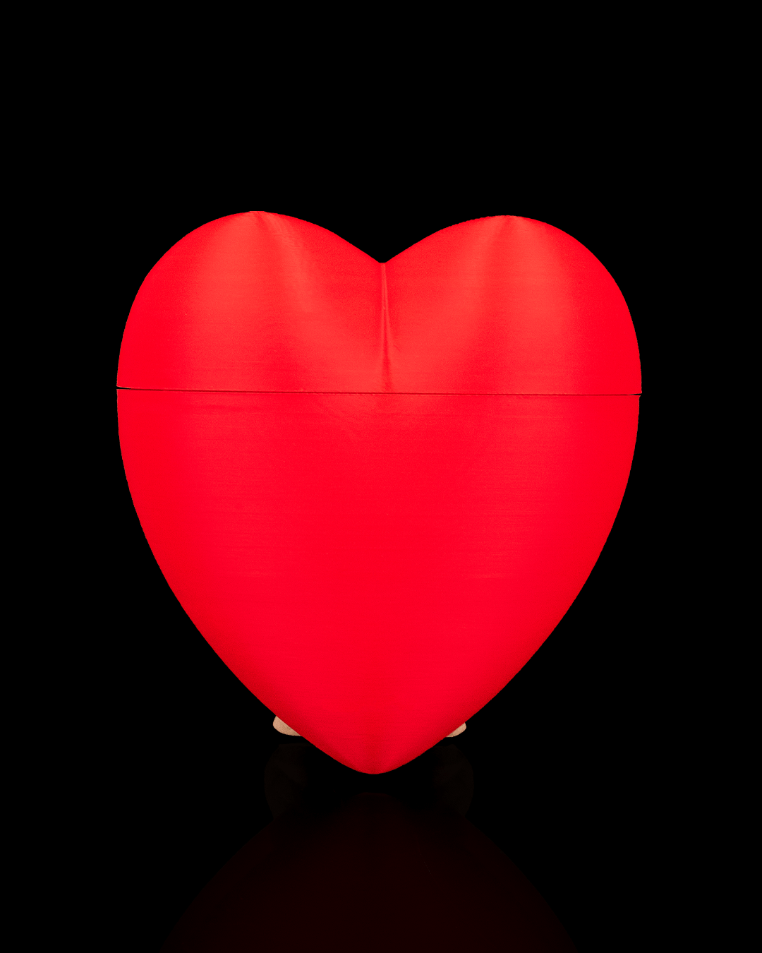 Heart Carrier – Container