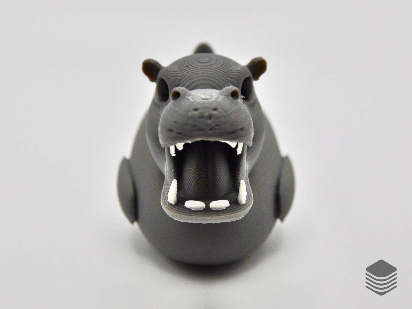 Make a Splash with the Hippo Duck!