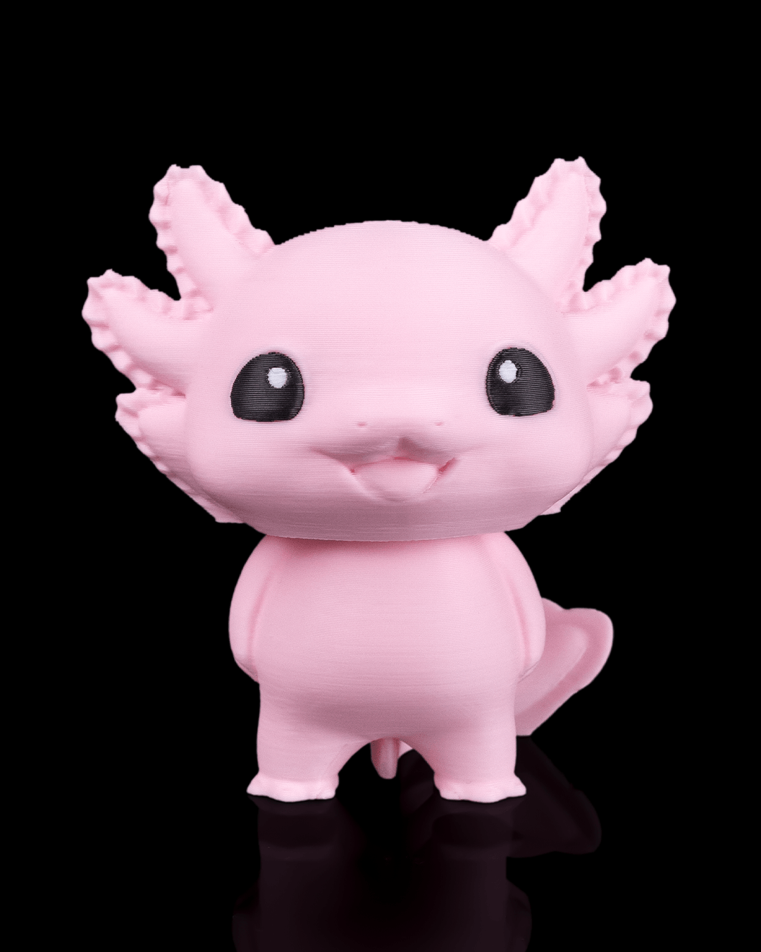 Axolotl Haven with 3 Axolotls