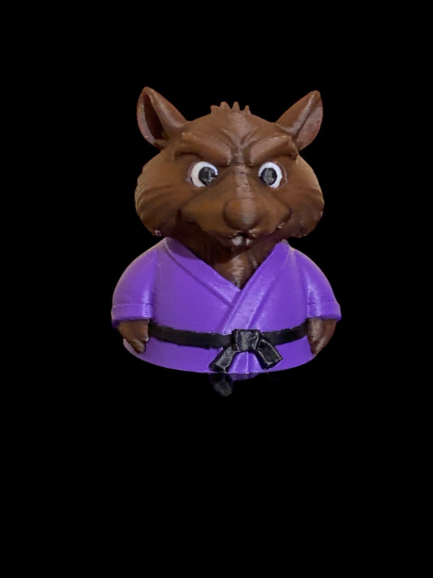 🐢 Teenage Mutant Turtle Ducks Collection