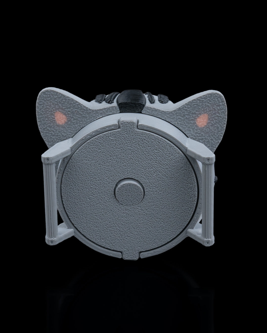 Cat Air Tag Case